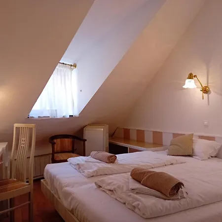 Senator Haz Эгер