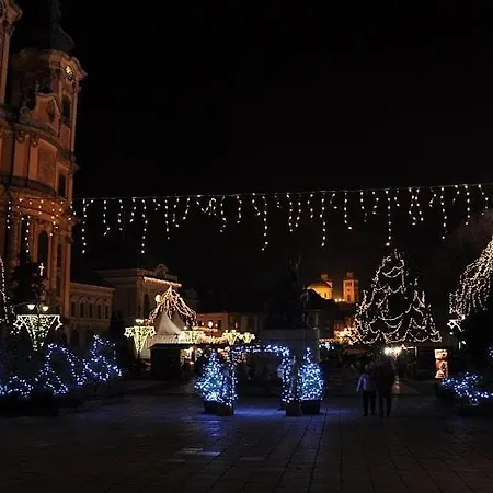 Отель Senator Haz 3*