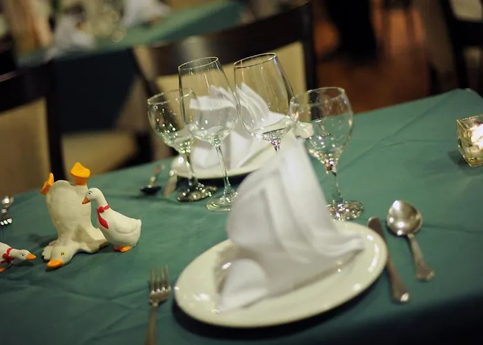 Otel Senator Haz Eğri